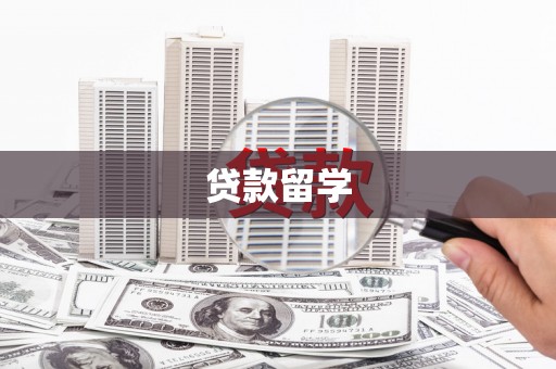 杂多贷款留学