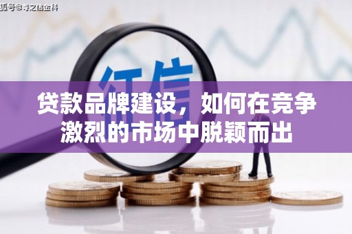 杂多贷款品牌建设，如何在竞争激烈的市场中脱颖而出