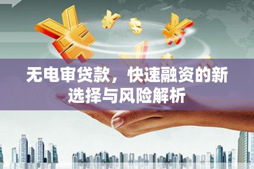 杂多无电审贷款，快速融资的新选择与风险解析