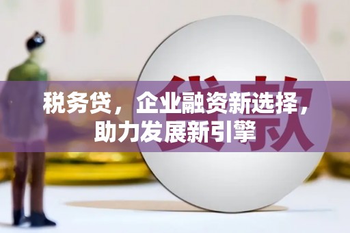 杂多税务贷，企业融资新选择，助力发展新引擎
