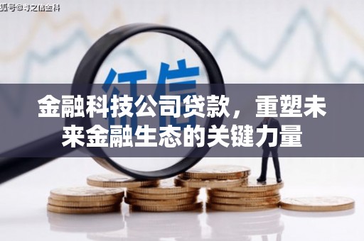 杂多金融科技公司贷款，重塑未来金融生态的关键力量