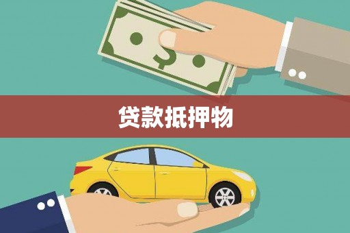 杂多贷款抵押物