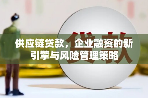杂多供应链贷款，企业融资的新引擎与风险管理策略
