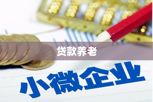 杂多贷款养老
