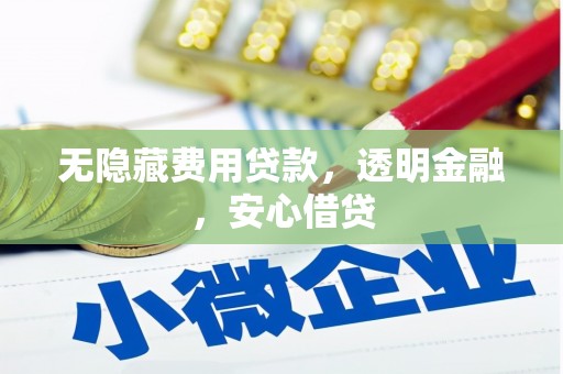 杂多无隐藏费用贷款，透明金融，安心借贷