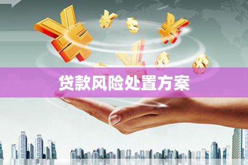 杂多贷款风险处置方案