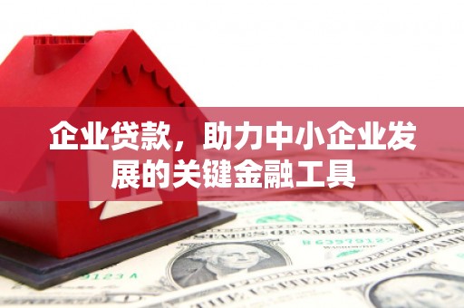 杂多企业贷款，助力中小企业发展的关键金融工具