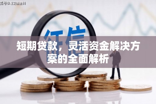 杂多短期贷款，灵活资金解决方案的全面解析