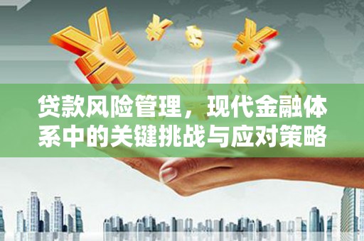 杂多贷款风险管理，现代金融体系中的关键挑战与应对策略