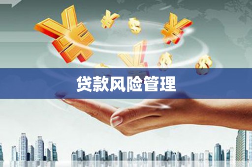 杂多贷款风险管理