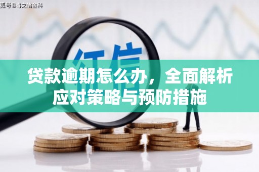 杂多贷款逾期怎么办，全面解析应对策略与预防措施