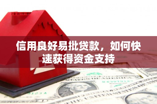 杂多信用良好易批贷款，如何快速获得资金支持