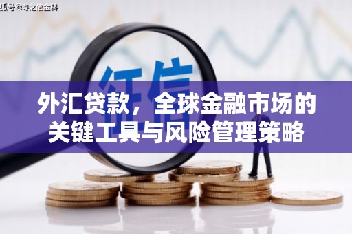 杂多外汇贷款，全球金融市场的关键工具与风险管理策略