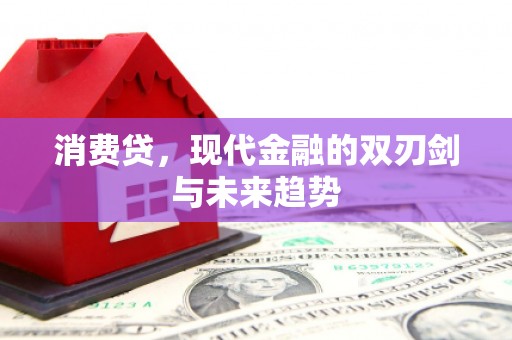 杂多消费贷，现代金融的双刃剑与未来趋势