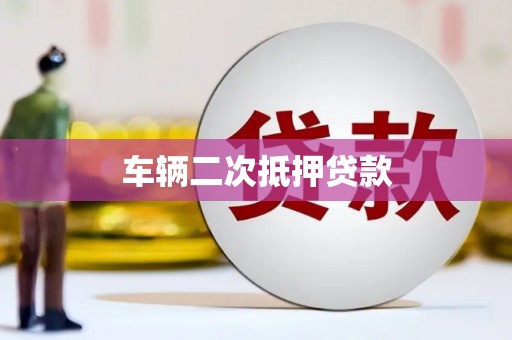 杂多车辆二次抵押贷款
