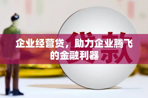 杂多企业经营贷，助力企业腾飞的金融利器
