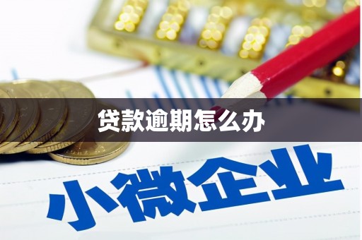 杂多贷款逾期怎么办