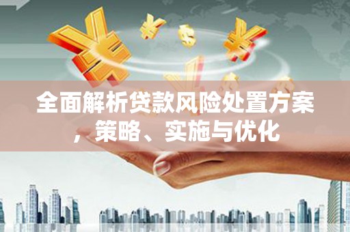 杂多全面解析贷款风险处置方案，策略、实施与优化