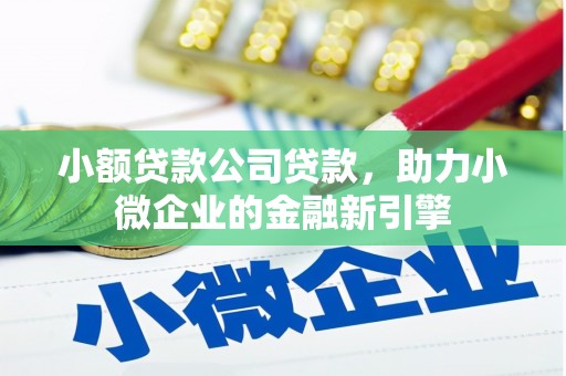 杂多小额贷款公司贷款，助力小微企业的金融新引擎