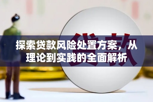 杂多探索贷款风险处置方案，从理论到实践的全面解析