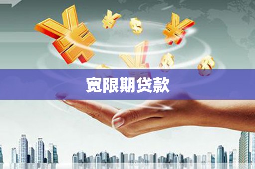 杂多宽限期贷款