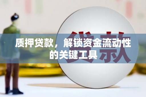 杂多质押贷款，解锁资金流动性的关键工具