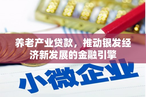 杂多养老产业贷款，推动银发经济新发展的金融引擎