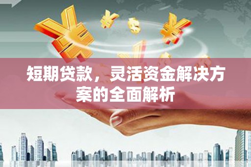 杂多短期贷款，灵活资金解决方案的全面解析
