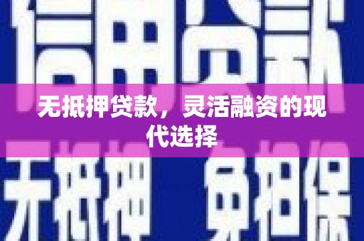 杂多无抵押贷款，灵活融资的现代选择