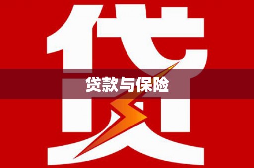 杂多贷款与保险