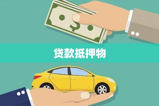 杂多贷款抵押物
