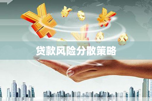 杂多贷款风险分散策略