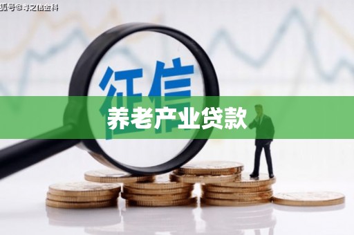 杂多养老产业贷款