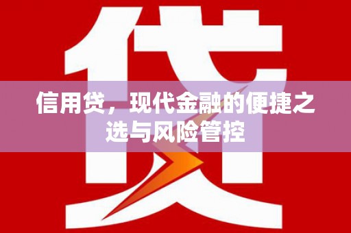 杂多信用贷，现代金融的便捷之选与风险管控
