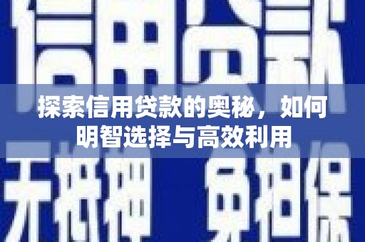杂多探索信用贷款的奥秘，如何明智选择与高效利用