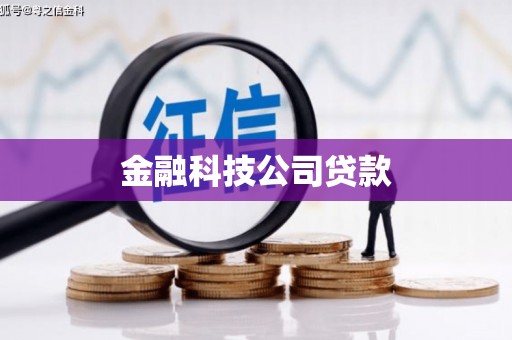 杂多金融科技公司贷款
