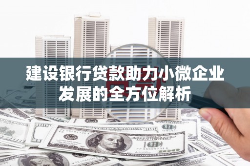 杂多建设银行贷款助力小微企业发展的全方位解析