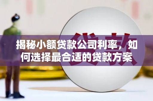 杂多揭秘小额贷款公司利率，如何选择最合适的贷款方案