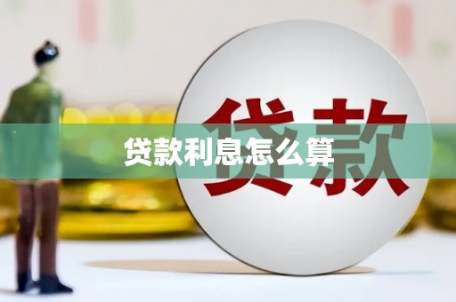 杂多贷款利息怎么算