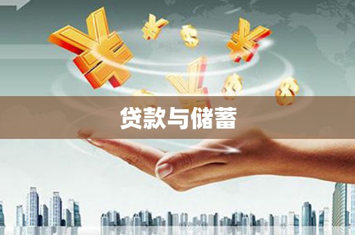 杂多贷款与储蓄