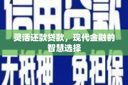 杂多灵活还款贷款，现代金融的智慧选择