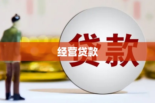 杂多经营贷款