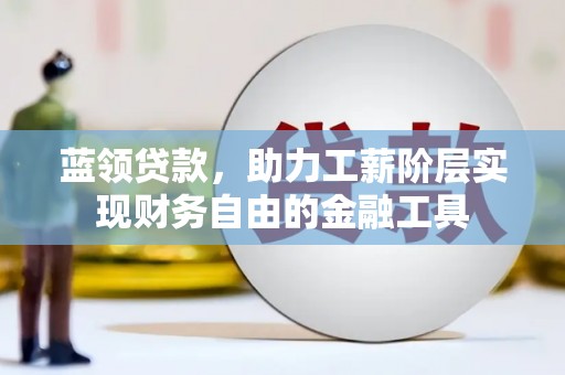 杂多蓝领贷款，助力工薪阶层实现财务自由的金融工具