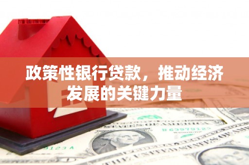 杂多政策性银行贷款，推动经济发展的关键力量