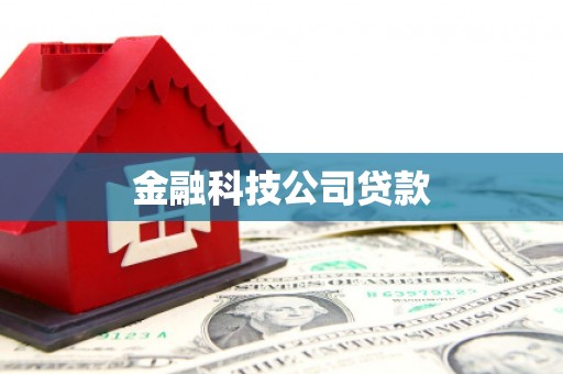 杂多金融科技公司贷款