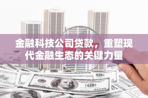杂多金融科技公司贷款，重塑现代金融生态的关键力量