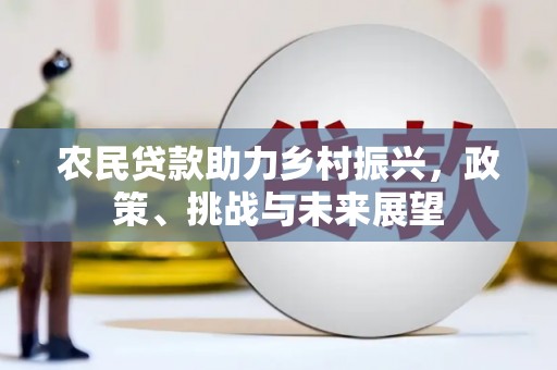 杂多农民贷款助力乡村振兴，政策、挑战与未来展望