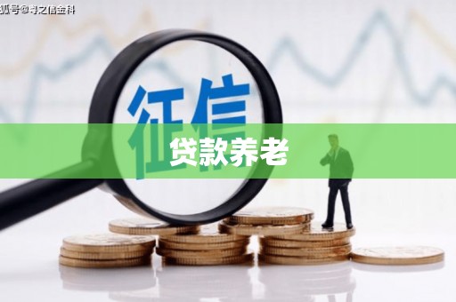 杂多贷款养老