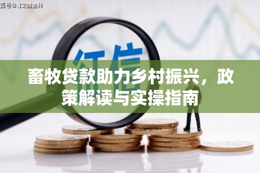 杂多畜牧贷款助力乡村振兴，政策解读与实操指南