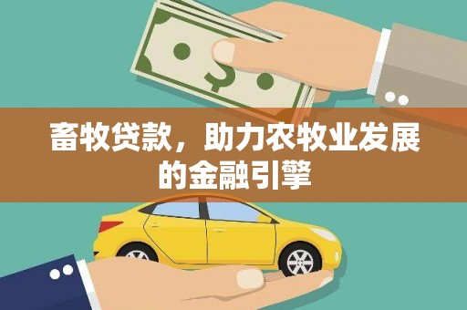 杂多畜牧贷款，助力农牧业发展的金融引擎